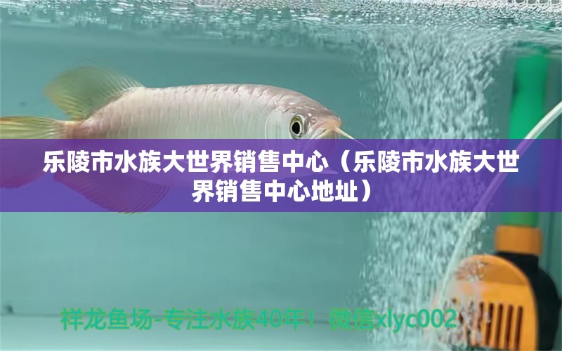 乐陵市水族大世界销售中心（乐陵市水族大世界销售中心地址）