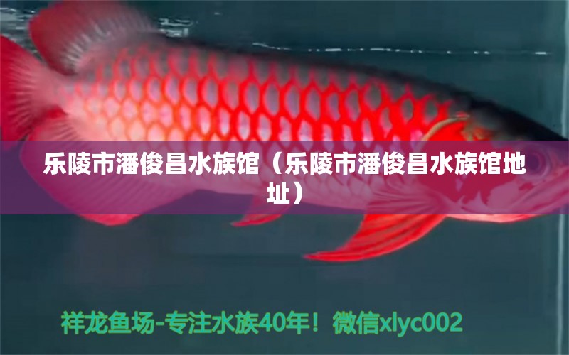 乐陵市潘俊昌水族馆（乐陵市潘俊昌水族馆地址）