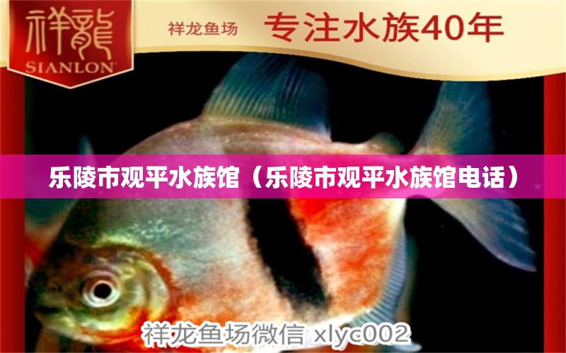 乐陵市观平水族馆（乐陵市观平水族馆电话）