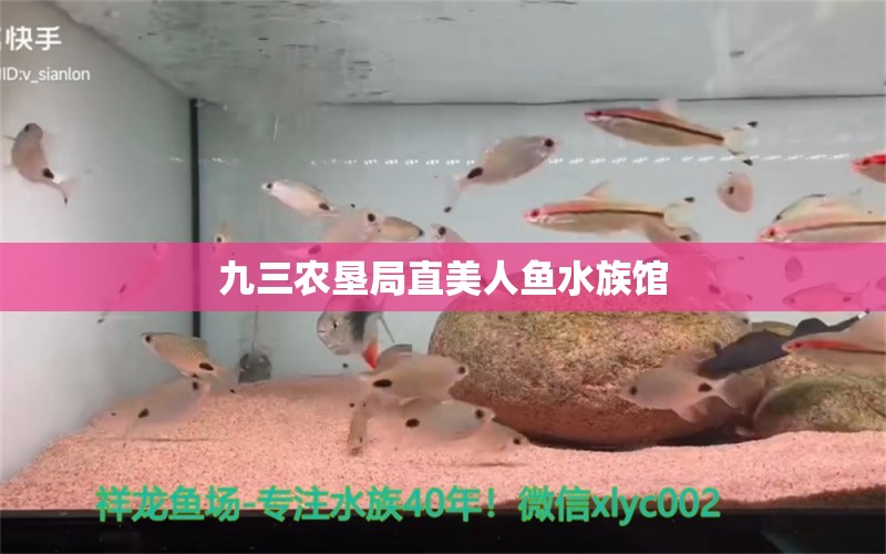 九三农垦局直美人鱼水族馆 全国水族馆企业名录