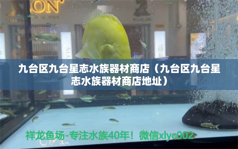 九台区九台星志水族器材商店（九台区九台星志水族器材商店地址）