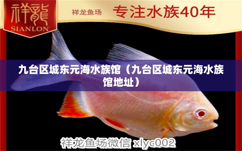 九台区城东元海水族馆（九台区城东元海水族馆地址） 全国水族馆企业名录