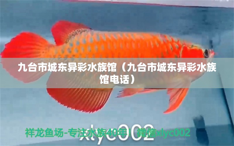 九台市城东异彩水族馆（九台市城东异彩水族馆电话） 全国水族馆企业名录