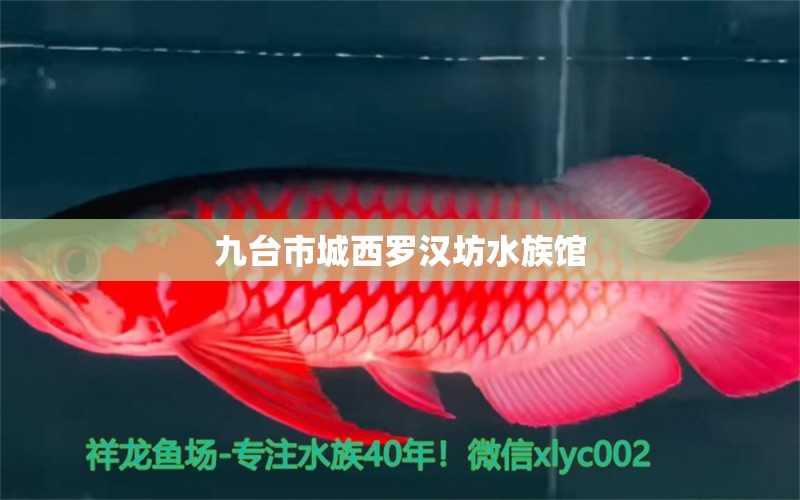 九台市城西罗汉坊水族馆