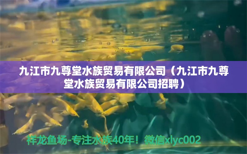 九江市九尊堂水族贸易有限公司（九江市九尊堂水族贸易有限公司招聘） 全国水族馆企业名录