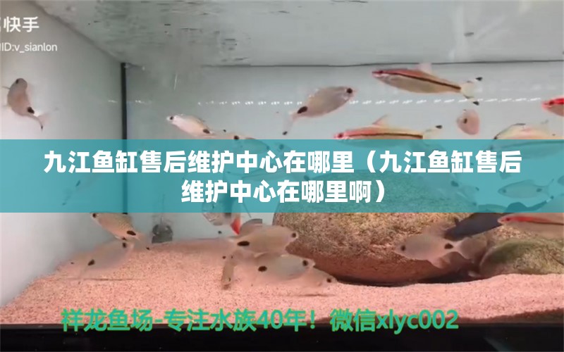 九江鱼缸售后维护中心在哪里（九江鱼缸售后维护中心在哪里啊） 其他品牌鱼缸