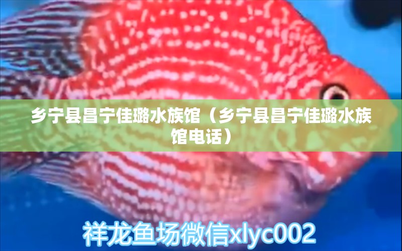 乡宁县昌宁佳璐水族馆（乡宁县昌宁佳璐水族馆电话）