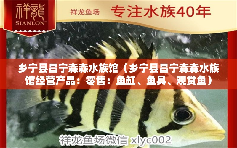 乡宁县昌宁森森水族馆（乡宁县昌宁森森水族馆经营产品：零售：鱼缸、鱼具、观赏鱼） 全国观赏鱼市场 第2张