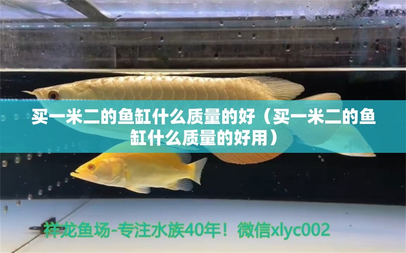 买一米二的鱼缸什么质量的好（买一米二的鱼缸什么质量的好用）