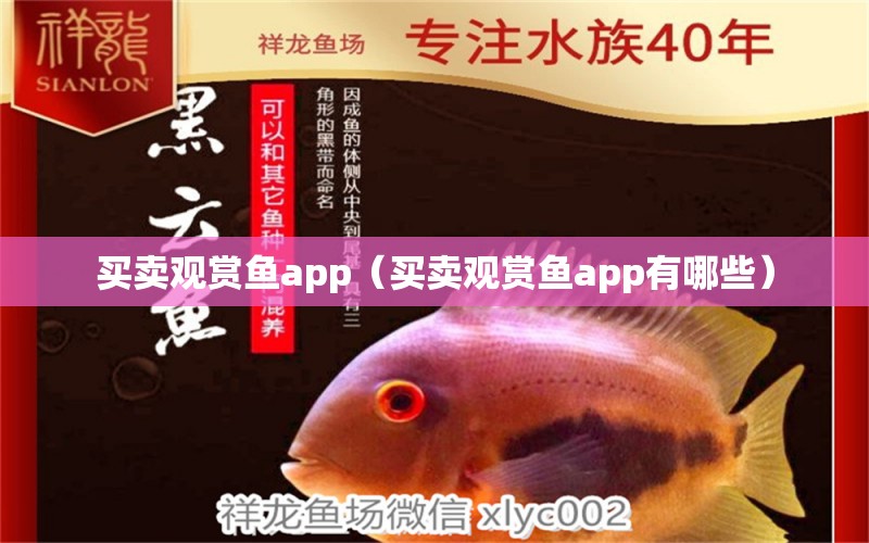 买卖观赏鱼app（买卖观赏鱼app有哪些）