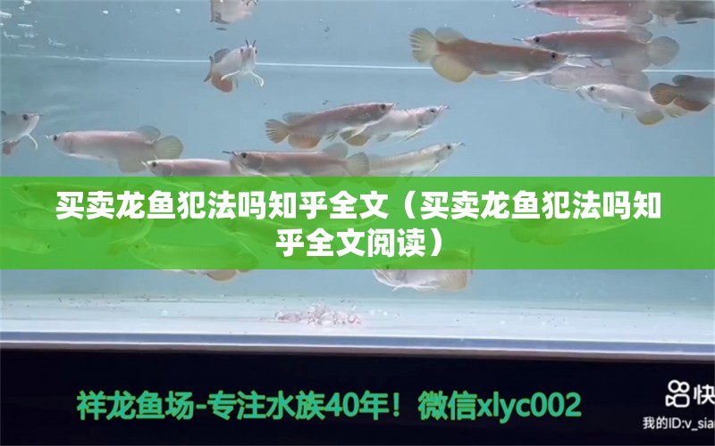 买卖龙鱼犯法吗知乎全文（买卖龙鱼犯法吗知乎全文阅读） 网上购买观赏鱼