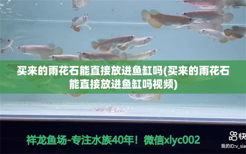 买来的雨花石能直接放进鱼缸吗(买来的雨花石能直接放进鱼缸吗视频) 黑白双星鱼 第1张