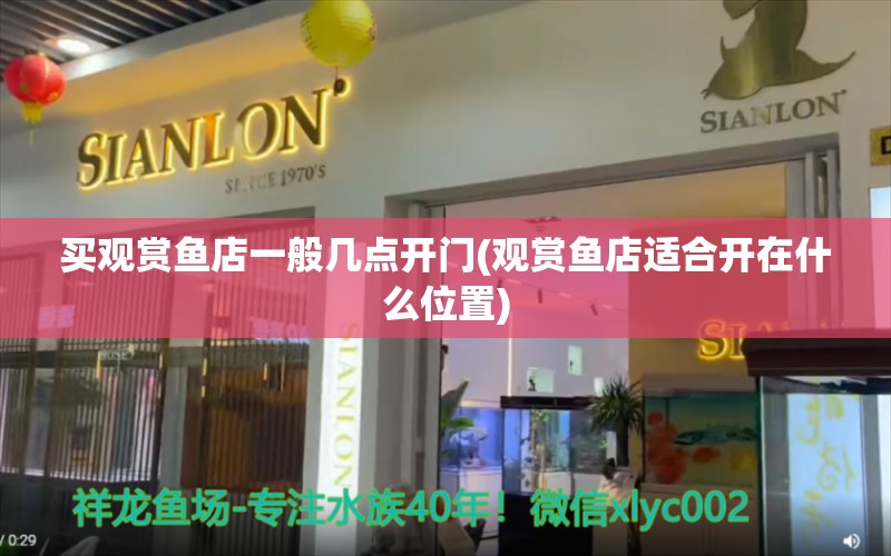 买观赏鱼店一般几点开门(观赏鱼店适合开在什么位置) 熊猫异形鱼L46