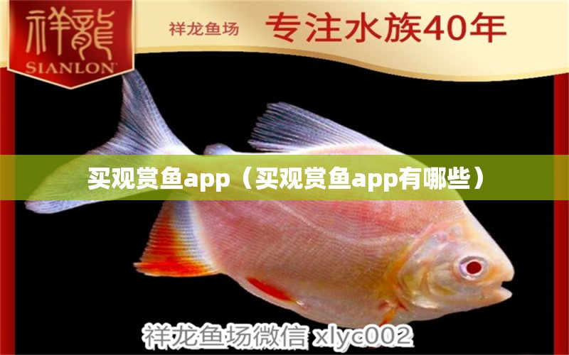 买观赏鱼app（买观赏鱼app有哪些）