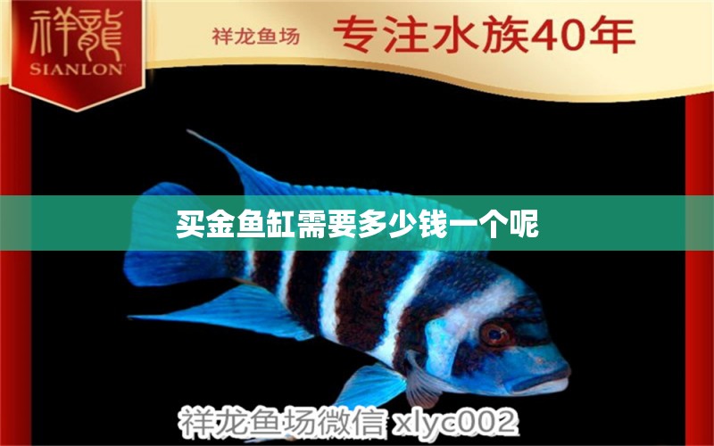 买金鱼缸需要多少钱一个呢 水族问答 第2张