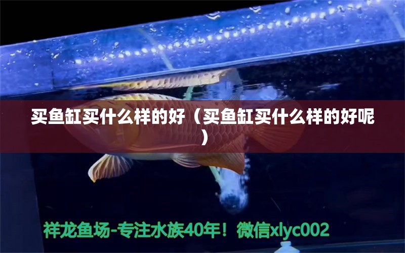 买鱼缸买什么样的好（买鱼缸买什么样的好呢） 祥龙水族医院