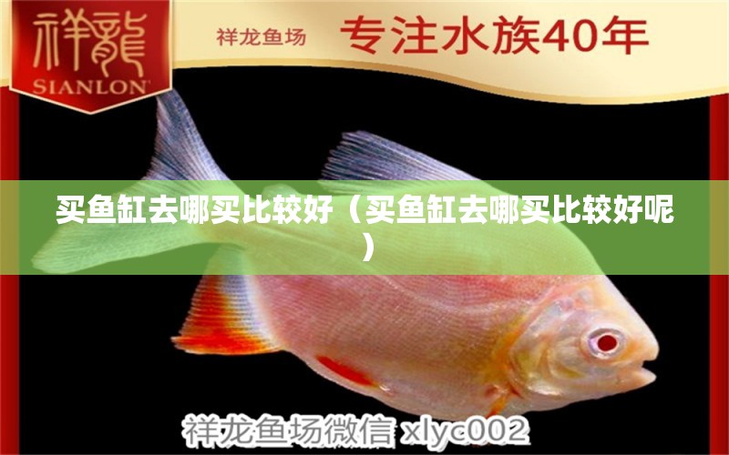 买鱼缸去哪买比较好（买鱼缸去哪买比较好呢） 祥龙水族医院