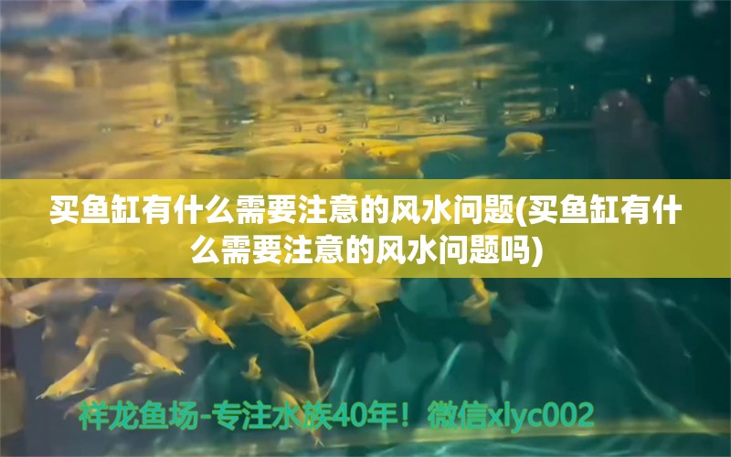 买鱼缸有什么需要注意的风水问题(买鱼缸有什么需要注意的风水问题吗)