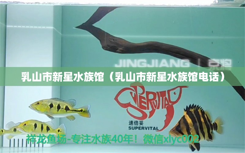 乳山市新星水族馆（乳山市新星水族馆电话） 全国水族馆企业名录