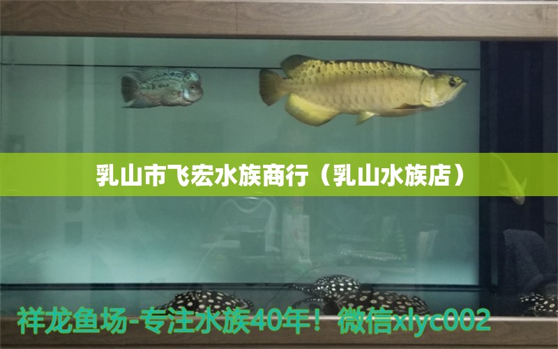 乳山市飞宏水族商行（乳山水族店） 全国水族馆企业名录