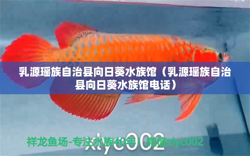 乳源瑶族自治县向日葵水族馆（乳源瑶族自治县向日葵水族馆电话）