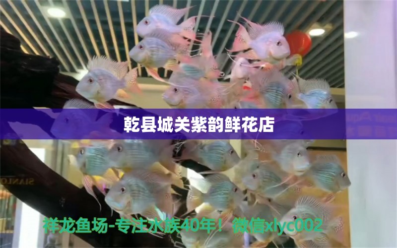 乾县城关紫韵鲜花店 全国水族馆企业名录