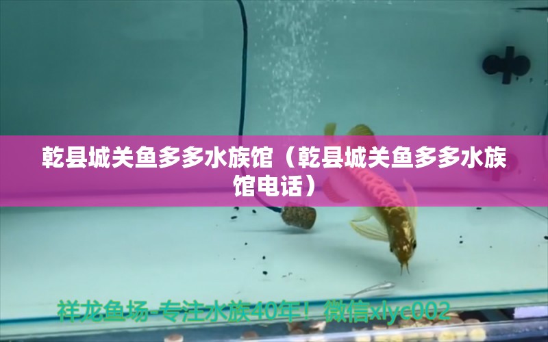 乾县城关鱼多多水族馆（乾县城关鱼多多水族馆电话）