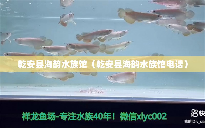 乾安县海韵水族馆（乾安县海韵水族馆电话） 全国水族馆企业名录