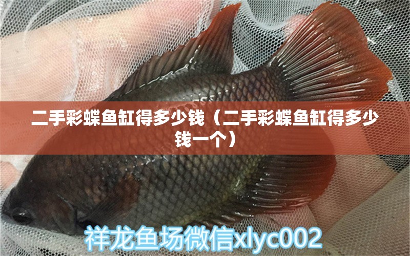 二手彩蝶鱼缸得多少钱（二手彩蝶鱼缸得多少钱一个） 水族杂谈