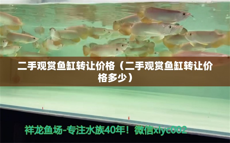 二手观赏鱼缸转让价格（二手观赏鱼缸转让价格多少） 祥龙水族医院