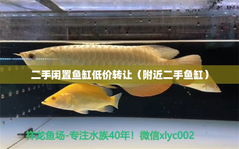 二手闲置鱼缸低价转让（附近二手鱼缸） 祥龙鱼场