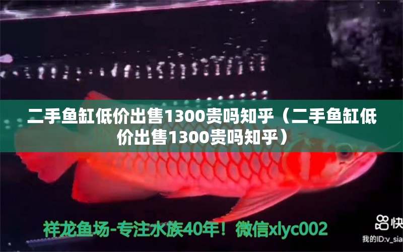 二手鱼缸低价出售1300贵吗知乎（二手鱼缸低价出售1300贵吗知乎）