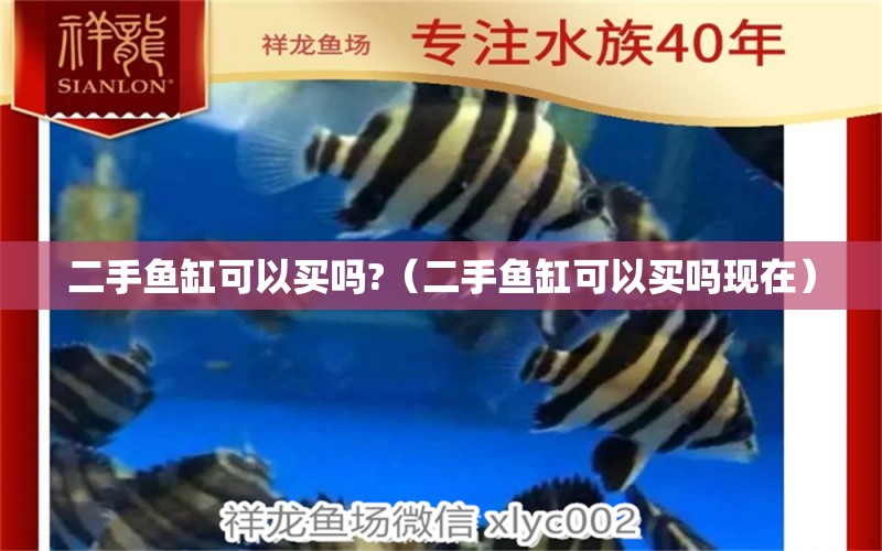 二手鱼缸可以买吗?（二手鱼缸可以买吗现在） 祥龙水族医院