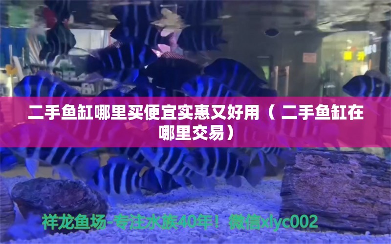 二手鱼缸哪里买便宜实惠又好用（ 二手鱼缸在哪里交易） 水族品牌 第1张