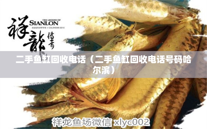 二手鱼缸回收电话（二手鱼缸回收电话号码哈尔滨） 祥龙水族医院