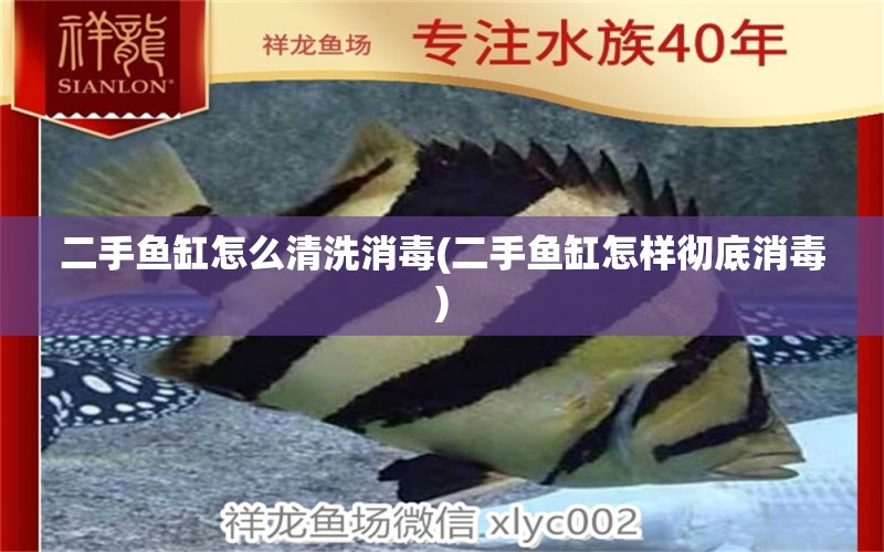 二手鱼缸怎么清洗消毒(二手鱼缸怎样彻底消毒) 水族用品