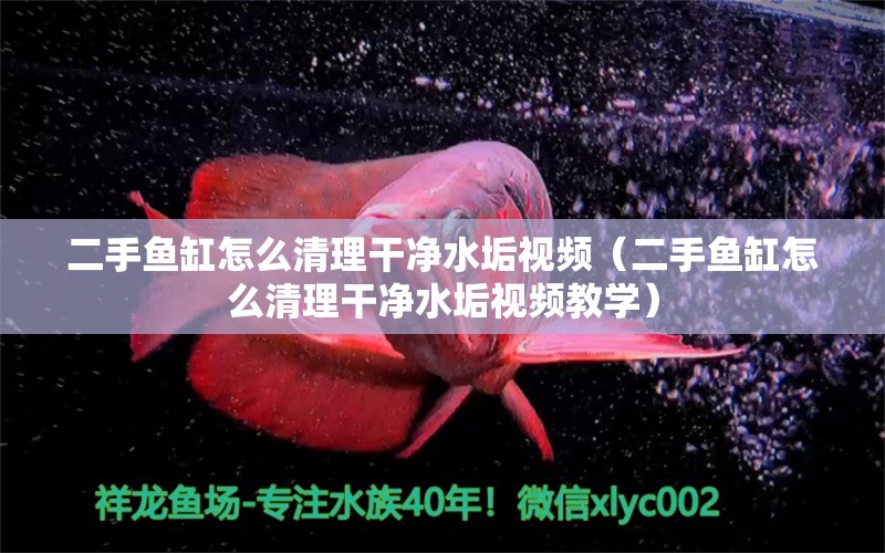 二手鱼缸怎么清理干净水垢视频（二手鱼缸怎么清理干净水垢视频教学） 祥龙水族护理水