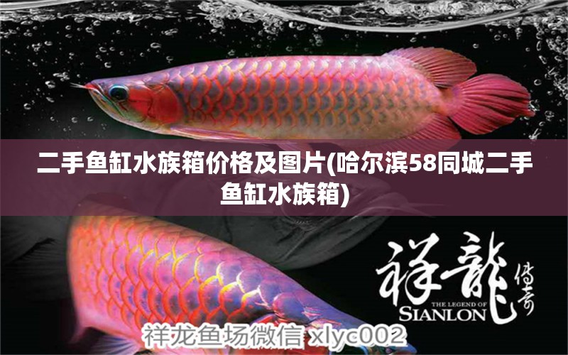 二手鱼缸水族箱价格及图片(哈尔滨58同城二手鱼缸水族箱) 鱼缸/水族箱