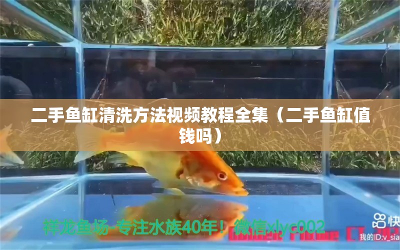 二手鱼缸清洗方法视频教程全集（二手鱼缸值钱吗） 广州观赏鱼批发市场