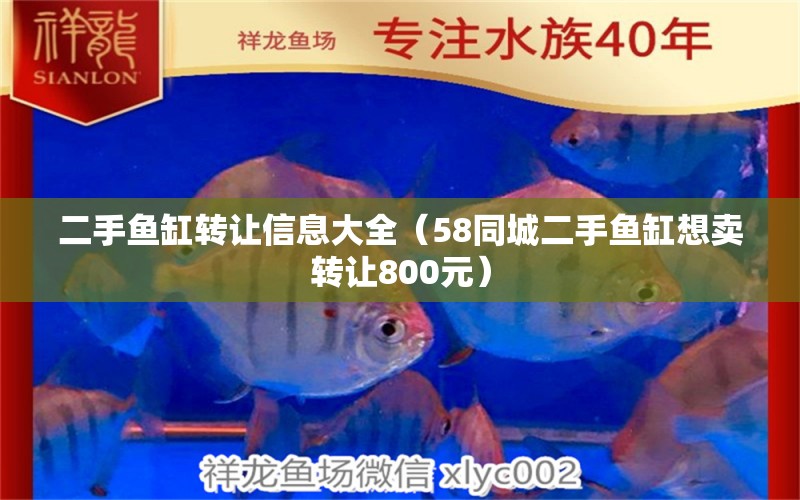 二手鱼缸转让信息大全（58同城二手鱼缸想卖转让800元） 广州观赏鱼批发市场