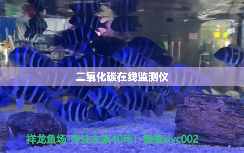 二氧化碳在线监测仪