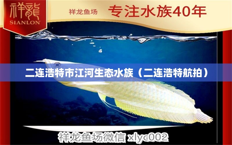 二连浩特市江河生态水族（二连浩特航拍） 全国水族馆企业名录