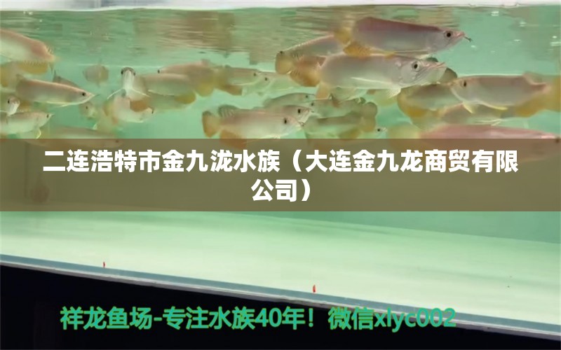 二连浩特市金九泷水族（大连金九龙商贸有限公司） 全国水族馆企业名录