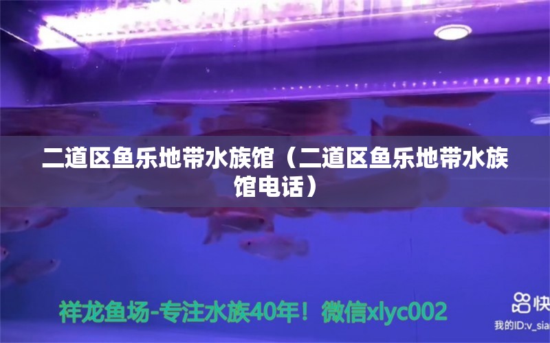 二道区鱼乐地带水族馆（二道区鱼乐地带水族馆电话） 全国水族馆企业名录