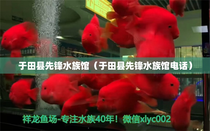 于田县先锋水族馆（于田县先锋水族馆电话）