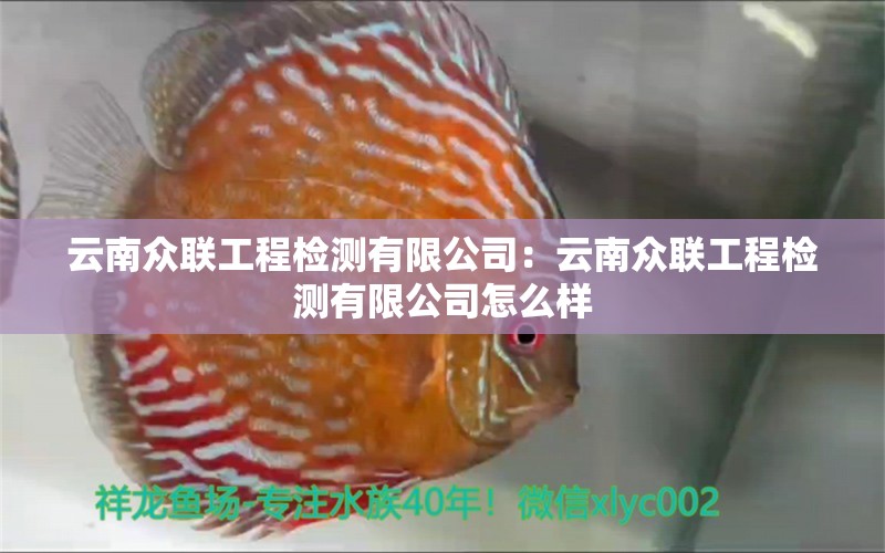 云南众联工程检测有限公司：云南众联工程检测有限公司怎么样