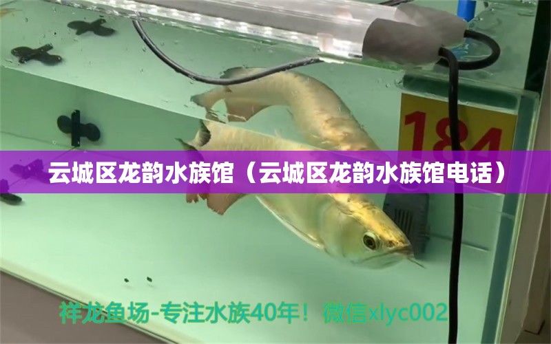 云城区龙韵水族馆（云城区龙韵水族馆电话） 全国水族馆企业名录