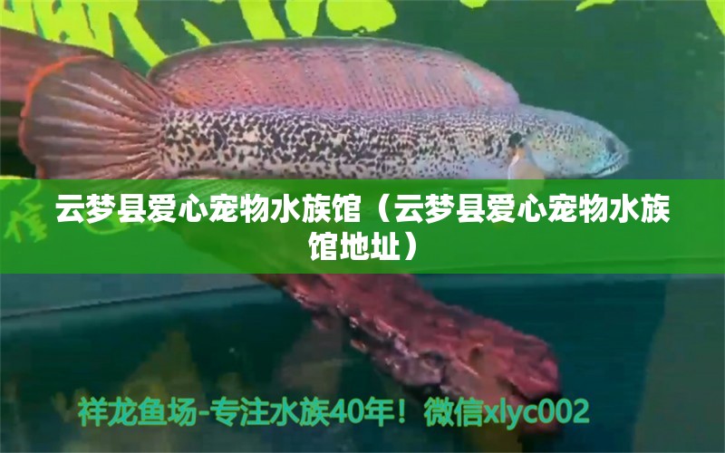 云梦县爱心宠物水族馆（云梦县爱心宠物水族馆地址） 全国水族馆企业名录