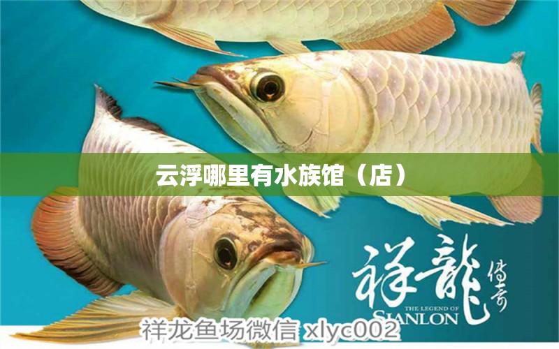 云浮哪里有水族馆（店）