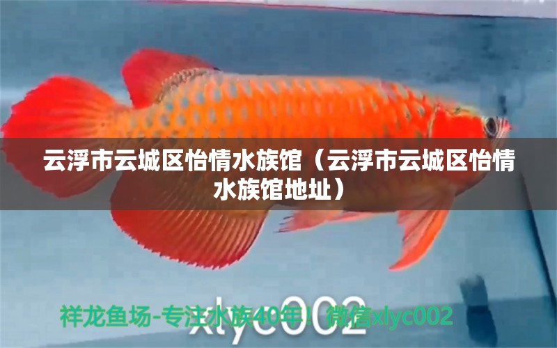 云浮市云城区怡情水族馆（云浮市云城区怡情水族馆地址）